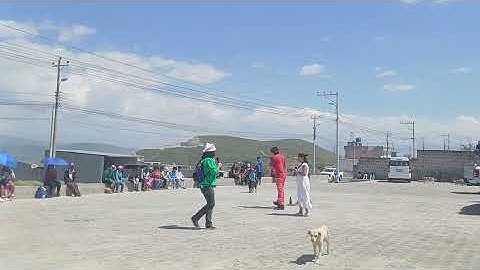 NAVIDAD, FUEGO Y VIENTOS l Obra de teatro l El Semillero Arte y Animación