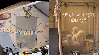 [4K] 친구네 강아지랑 같이 간 2박 3일 생일 캠핑🎂🏕️ | 청도 벨캠핑장 | 쿠디에어텐트 | 쿠디8.0 | 애견캠핑 | 타프치기 | 말티푸 | 비숑