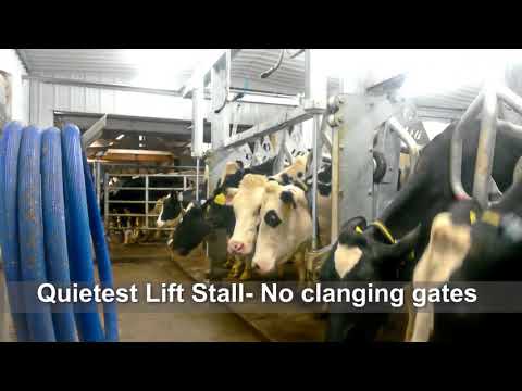LEO Dairy Systems