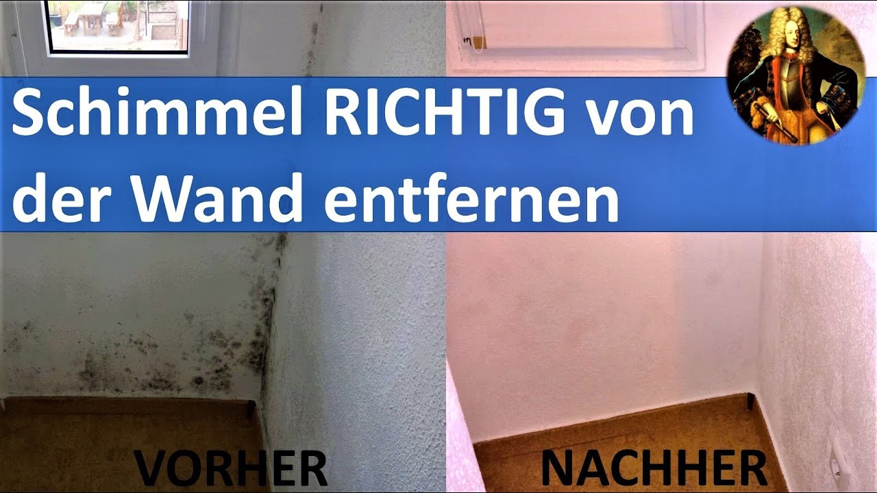 Schimmel RICHTIG von der Wand entfernen 