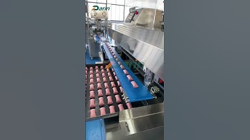 Automatic put the tray conveyor Lily 15650007980