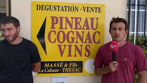 Quelle différence entre cognac et brandy ?