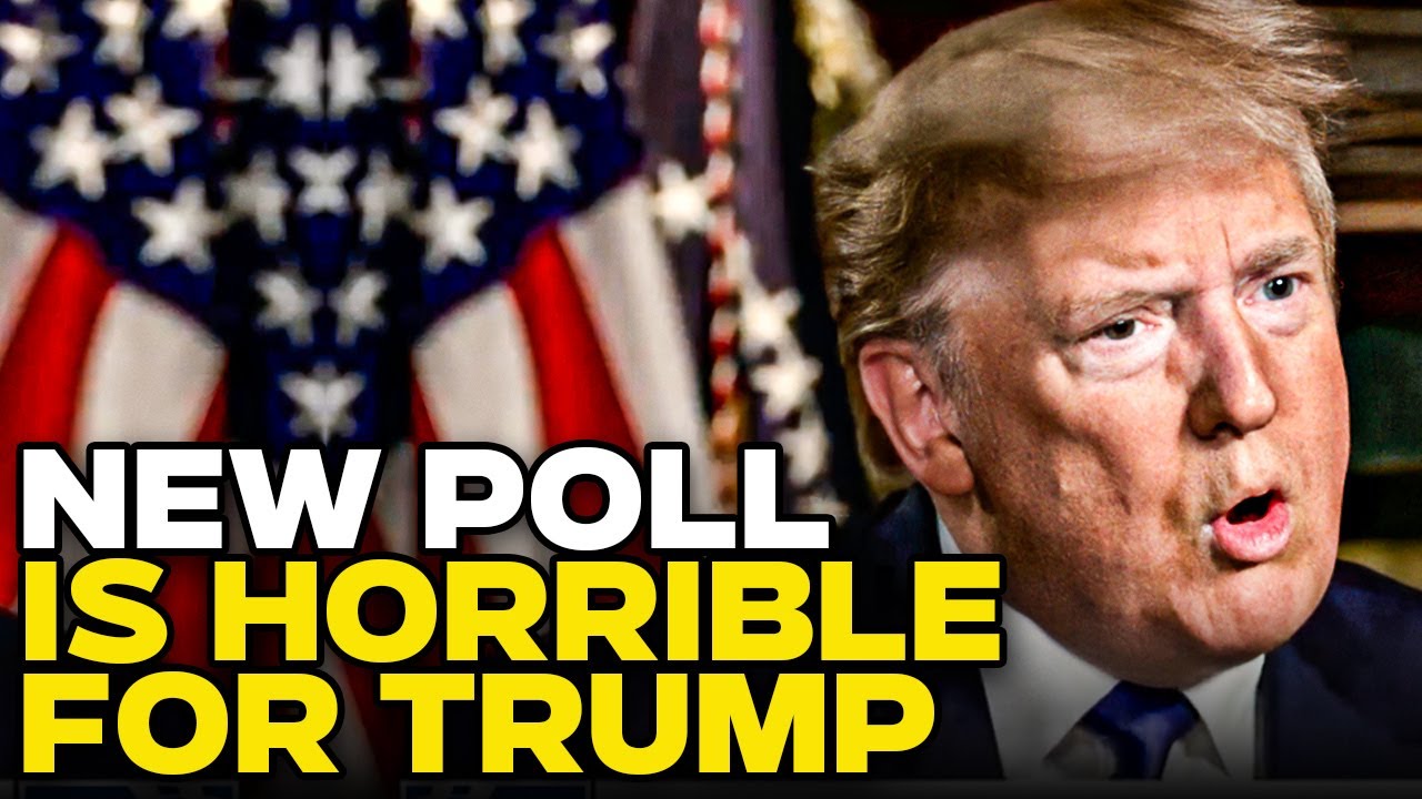 Ouch! New Poll Shows Even Trump Supporters Think Harris Is Going To Beat Him