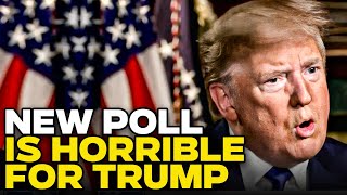 Ouch! New Poll Shows Even Trump Supporters Think Harris Is Going To Beat Him
