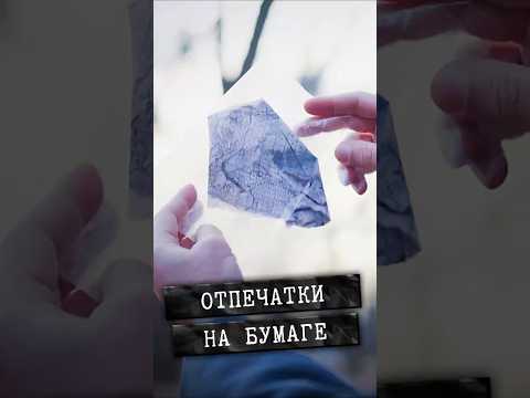 Сколько хранятся отпечатки пальцев на бумаге? #shorts #трукрайм #детектив