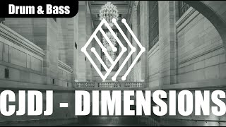 CJDJ - DIMENSIONS | #drumbass