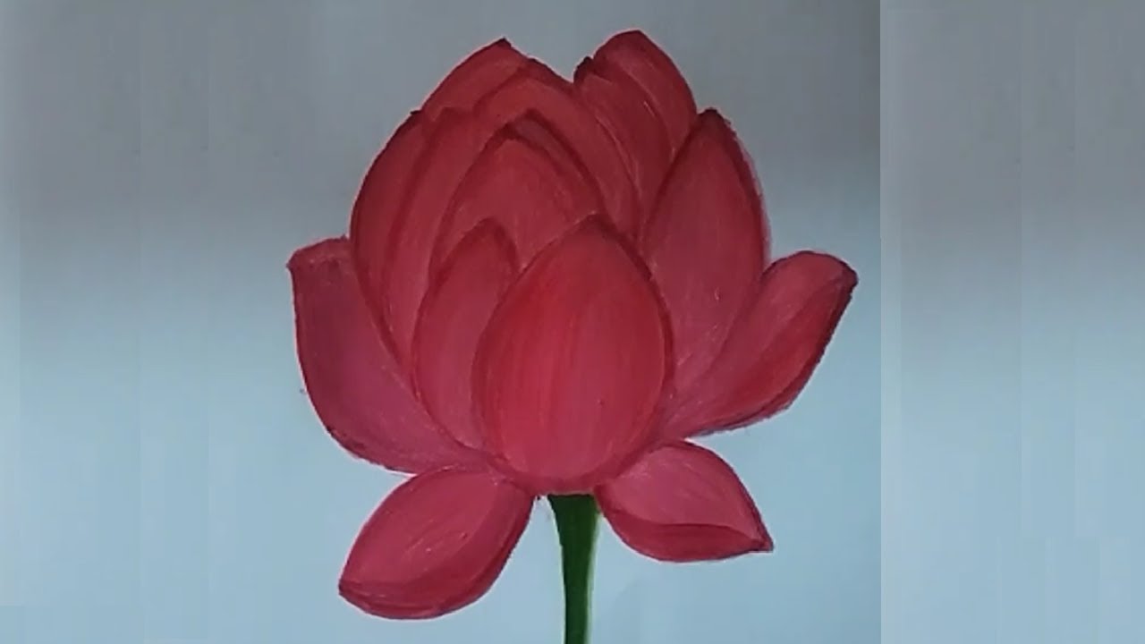 How to draw lotus flower easy Lotus flower drawing ka sahi tarika Lotus Flower kese draw