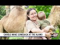 KSAT News at Noon : Jun 22, 2026
