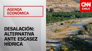 Estrategias para enfrentar la crisis hídrica de Chile | Agenda Económica