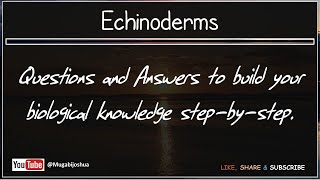 1 9 Echinoderms