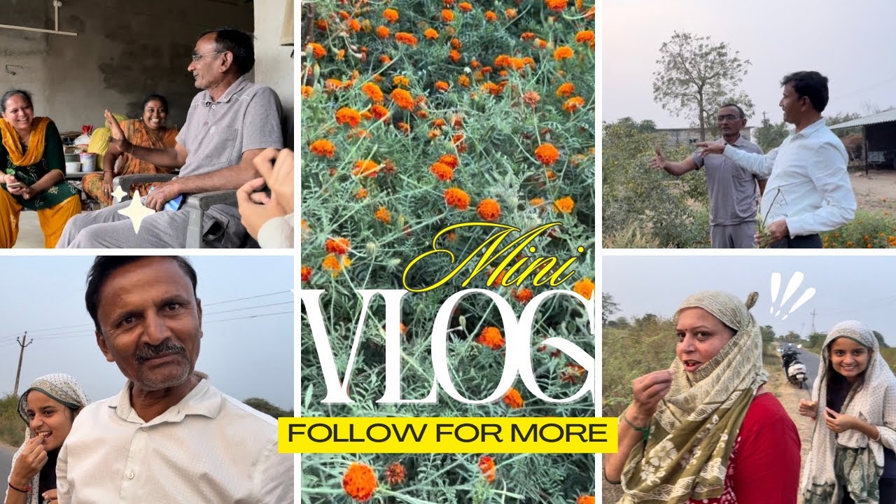 હાવજ 🦁અને દીપડા 🐆 રોજ સાંજે ઘર આંગણેથી જાય!😳 ગોદાવરી માસીના ઘરે!