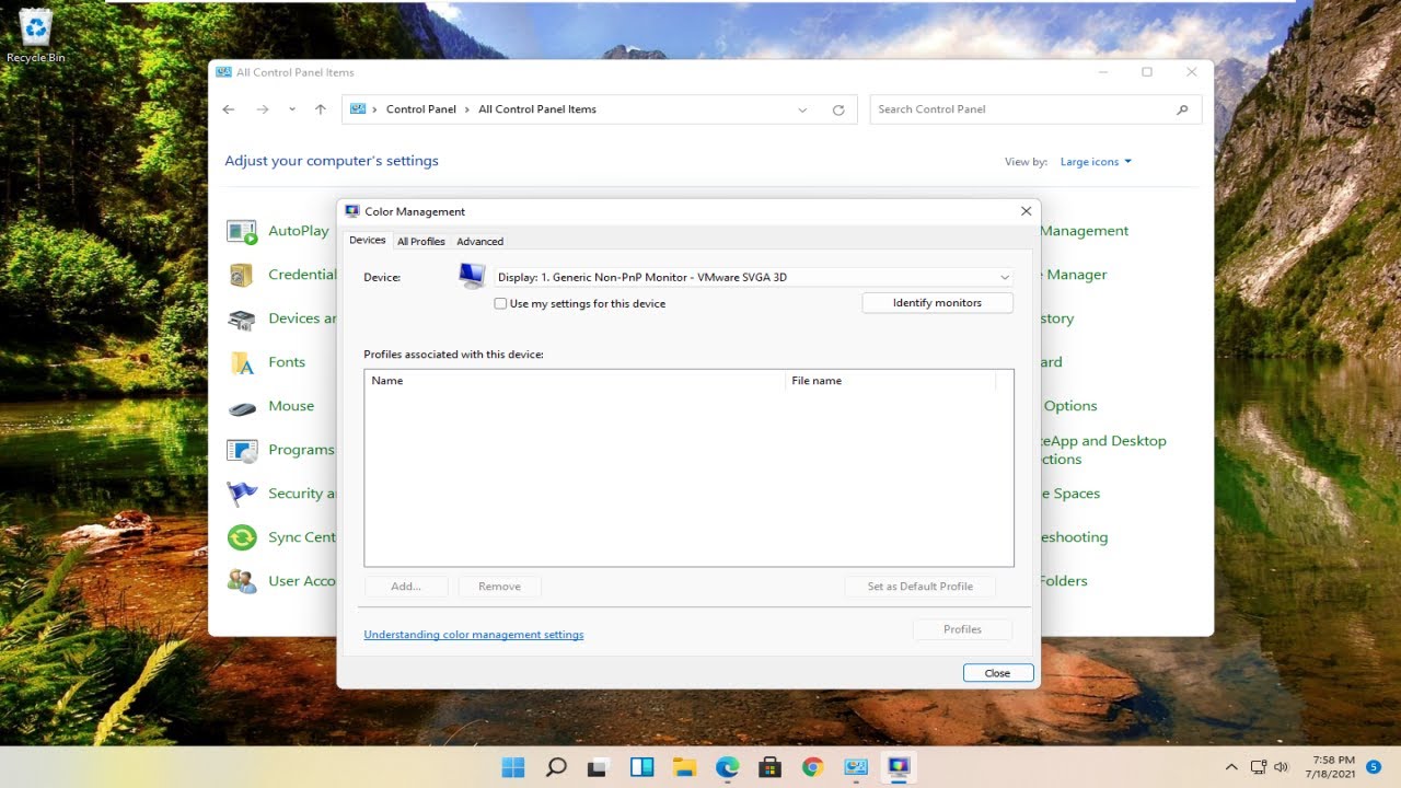 Customize Your Mouse Settings in Windows 11
