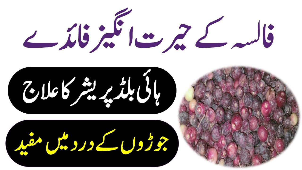 Grewia Asiatica Benefits In Urdu || Falsa Khane Ke Fayde Aur Nuksan || Phalsa Benefits In Hindi