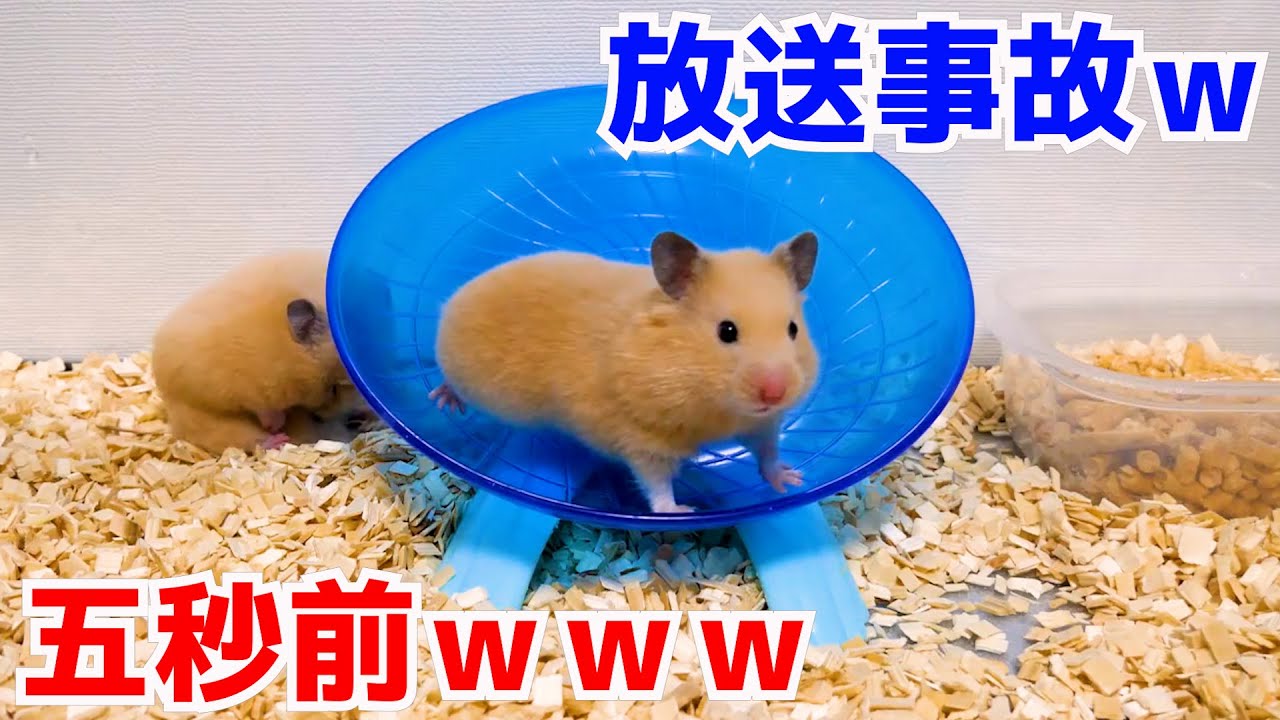 伝説の序章 - YouTube