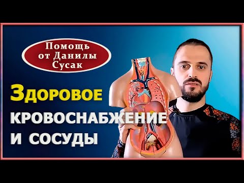 Гимнастика для восстановления и очищения сосудов, вен, капилляров. Практика от Данилы Сусака