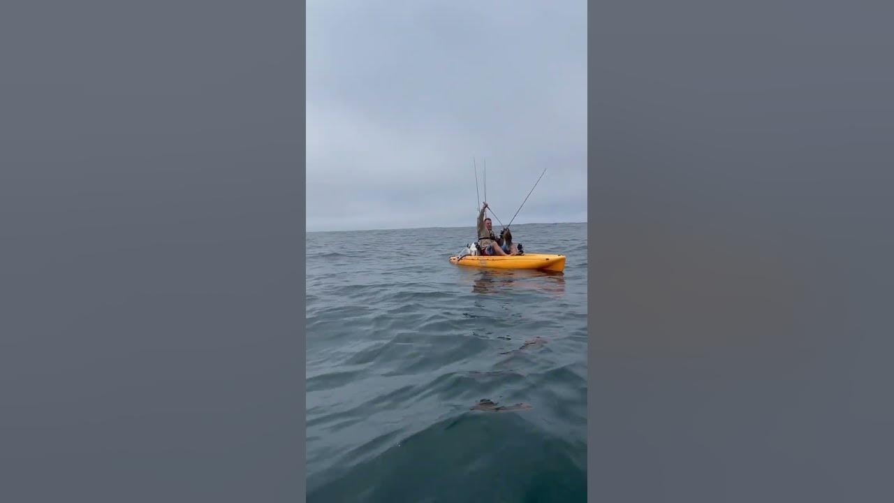 Giant grass rockfish caught in Morro bay! #fishing #fyp #worldrecord