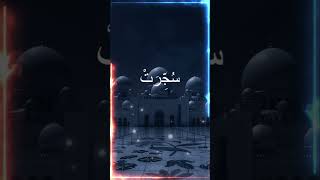 Amazing Voice - Surah At-Takwir - Izash Shamsu Kuwirat #islam #tilawat #shorts #viral #kids