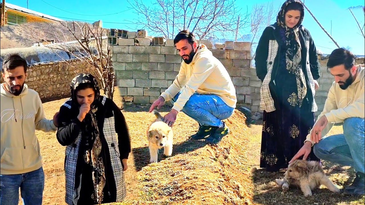 Ehsan and Samira: A Love Story with Alpha🐕💗 - YouTube