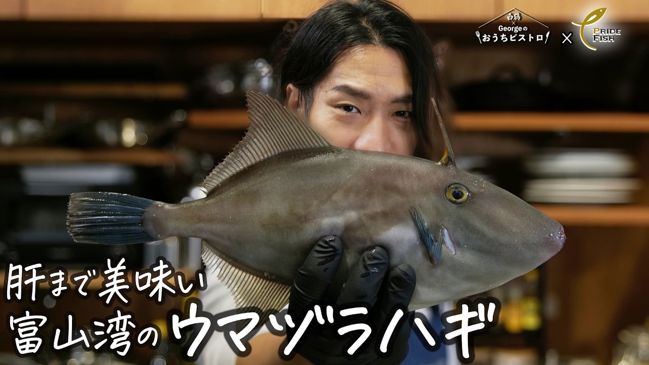 富山湾の冬を食べる｜フグ級白身×濃厚な肝を“ガリガリ”ハーブパン粉にしたら別格の旨さ！