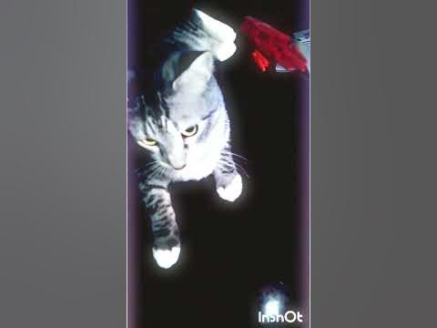 Цицирон.... - YouTube