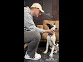 Zoey | Fizz Finds a Friend