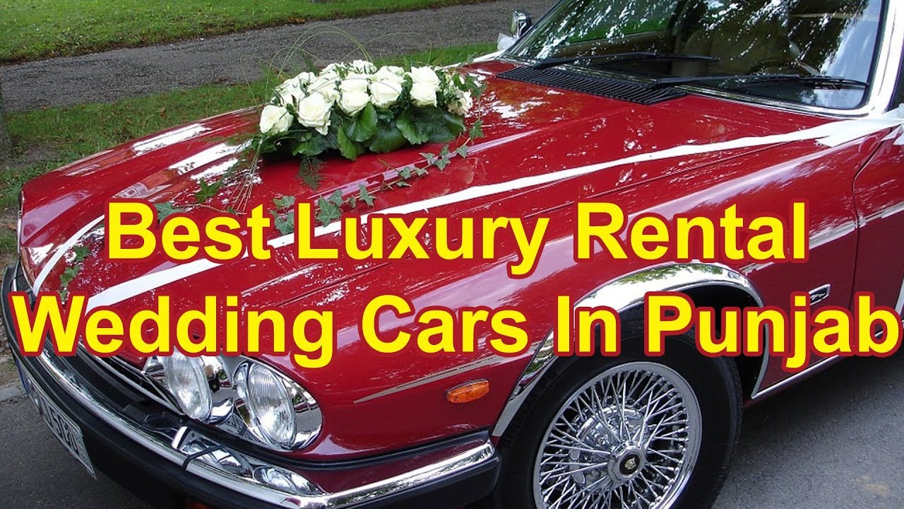 Best Rental Wedding Cars In Jalandhar Punjab  YouTube