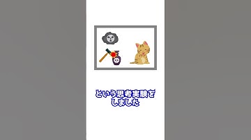 シュレディンガーの猫って、結局何なん？