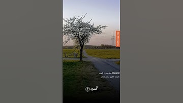 #احلى_لايك تلاوة عطرة من القران الكريم بصوت القارئ الشاب محمد عسال  سورة المسد #شتركو_بالقناه #البلج