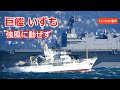 強風のなか「いずも」巨艦動ぜず演習から帰還 2021年12月1日