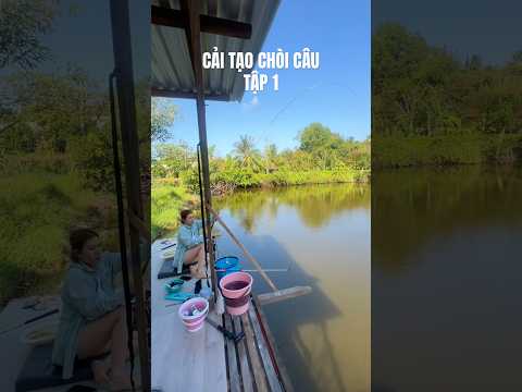 Tiếp tục cải tạo chòi câu cá #vyhanfishing #fishing #caucathugian #caucatunhien