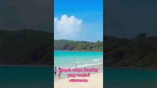Download Lagu Konon katanya orang Bandung jadi korban tumbal pantai selatan, Mitos Nyai roro kidul #shorts MP3