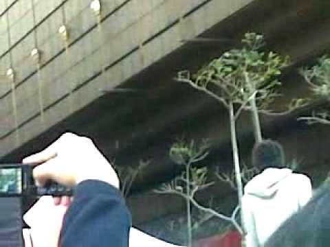 信 趁我+獨領風騷 新光簽唱會