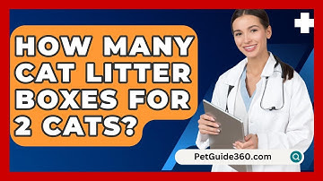 How Many Cat Litter Boxes For 2 Cats? - PetGuide360.com