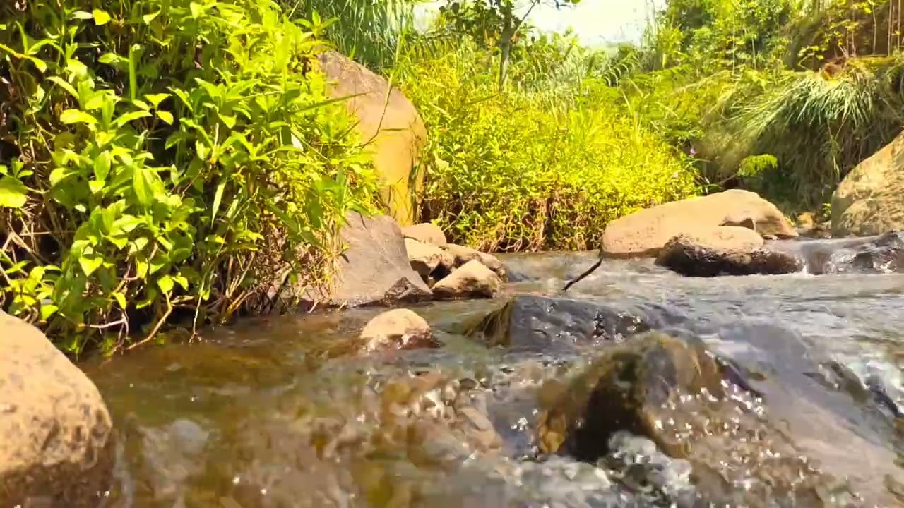 River Dreams – Nature Sounds for Sleep