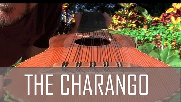 World Music Safari - The Charango