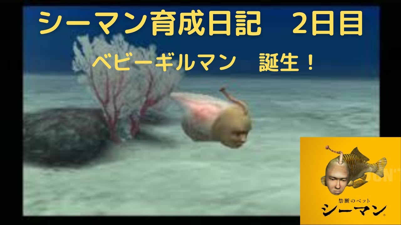 Day 2 [Seaman Raising Diary] Baby Gillman is born! - YouTube