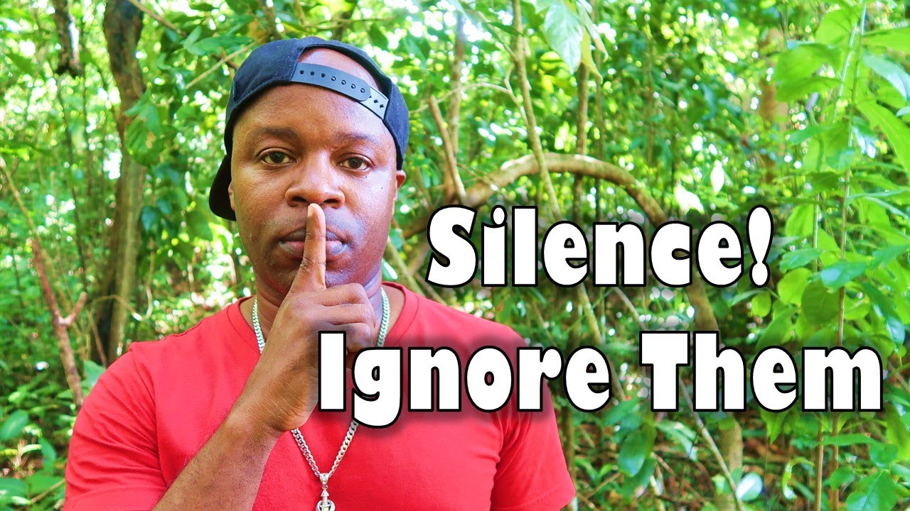 Ignore Them, Be Silent, They Don't Deserve Your Time Or Energy