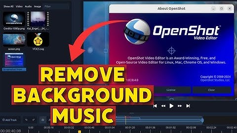 How to Remove Background Music on Openshot 2025?