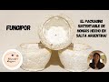 Fungipor: el packaging sustentable hecho con HONGOS y creado en SALTA, ARGENTINA!