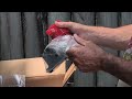 Firestone Ride Rite Air Spring Kit INSTALL with HD Air Compressor on 2021 Toyota Tacoma TRD Pro 6MT