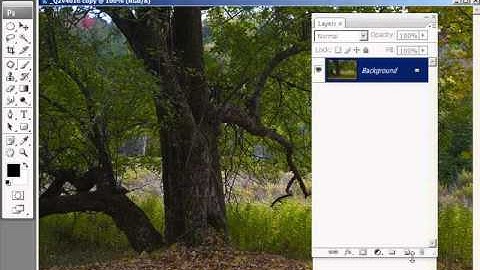 Plugin #2 Photoshop Tutorial by Bob Mizerek