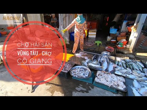 chợ hải sản rẻ ở vũng tàu 2022 Update Review Chợ Hải Sản Vũng Tàu Tươi Ngon Và Rẻ P.1 | Chợ Cô Giang Ngay Trung Tâm Vũng Tàu 💥HaChu Vlog