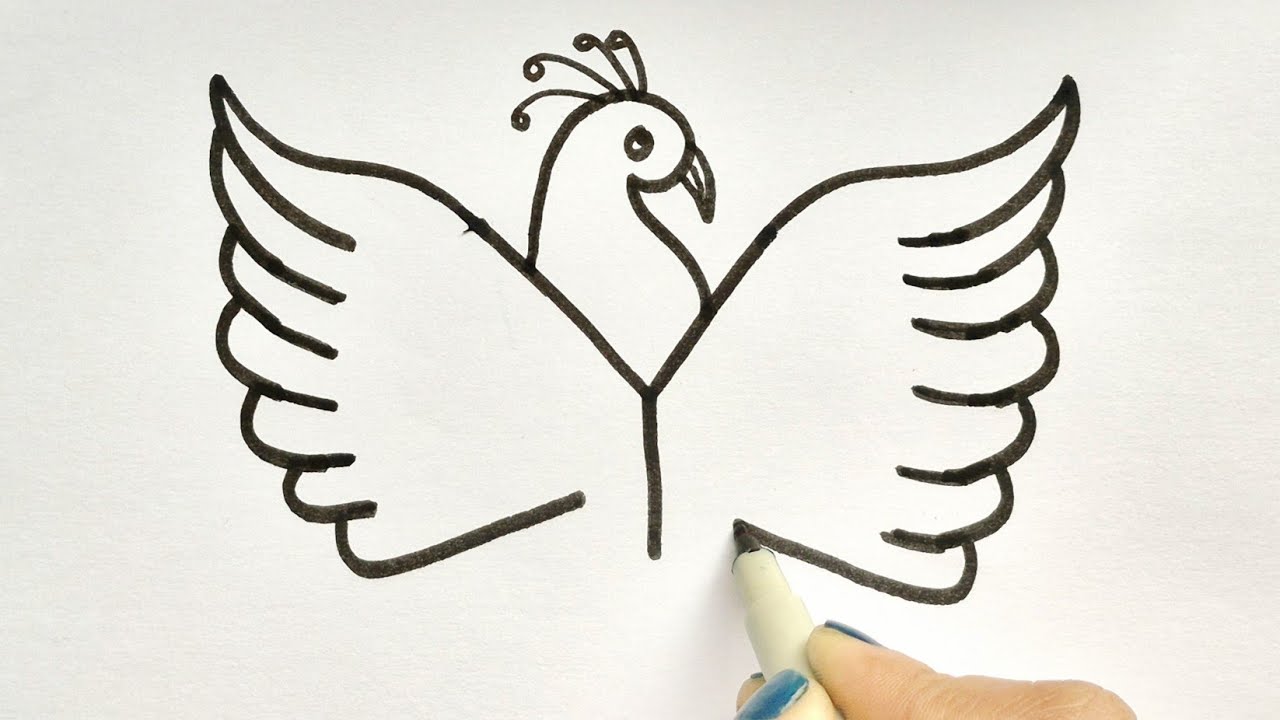 Beautiful Bird drawing | How to Draw beautiful drawing for beginners | Easy peacock drawing |drawing
