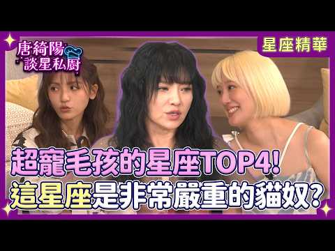 超寵毛孩星座排名！「這星座」是非常嚴重的貓奴？【Yahoo 唐綺陽談星私廚】 @jessetang1113@soacliu_yt