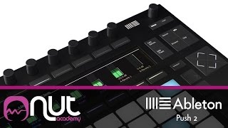 Ableton Push 2 Prime Impressioni Con Giancarlo Lanza Nut Academy