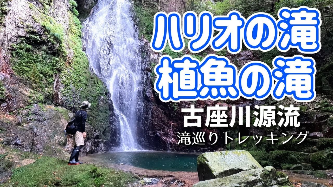 【和歌山県古座川町】秘境の源流♪植魚の滝＆ハリオの滝トレッキング♪