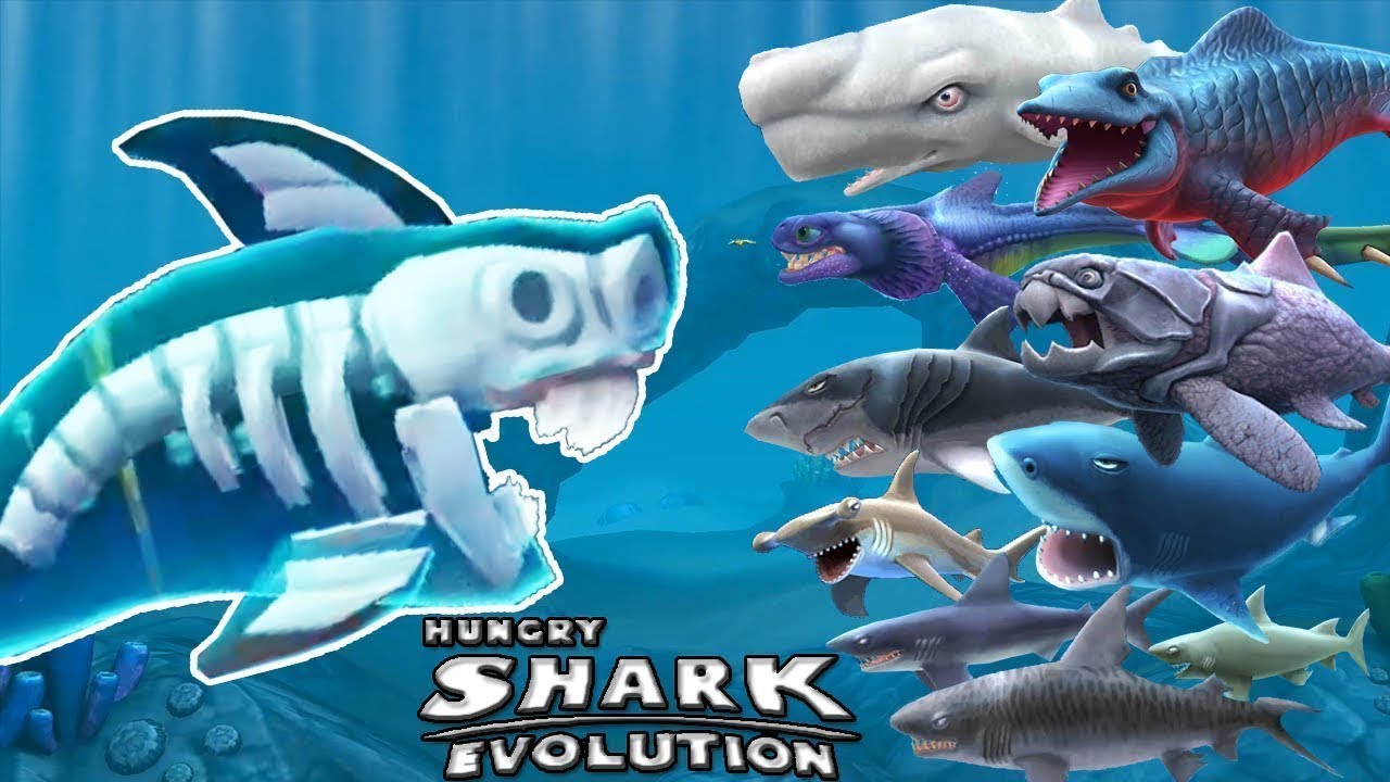 Игра большая акула. Хангри Шарк Эволюшн. Акула из Хангри Шарк. Игра Shark Evolution. Хангри Шарк Эволюшн игрушки.