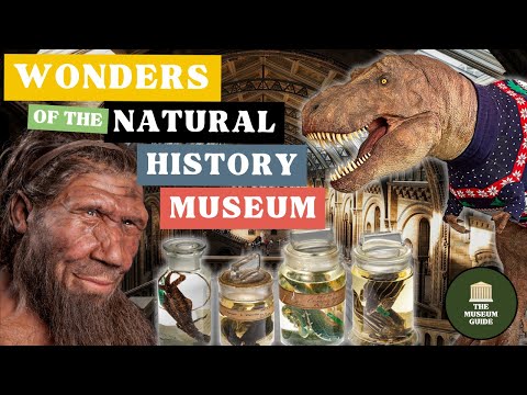 Video: 8 dingen om te zien en te doen in het Natural History Museum in Londen