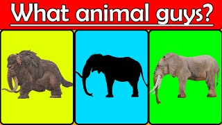 WILD ANIMALS Elephant, Mammoth, Kuda, Bison funny Wheel of Fortune