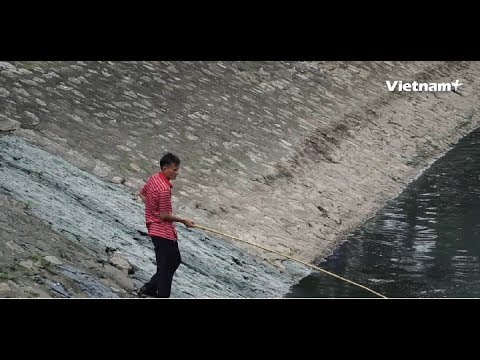 Video Sông Tô Lịch sau gần một tháng áp dụng công nghệ làm... - youtube